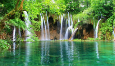 Cuc Phuong National Park- Private Tour 2 Days 1 Night